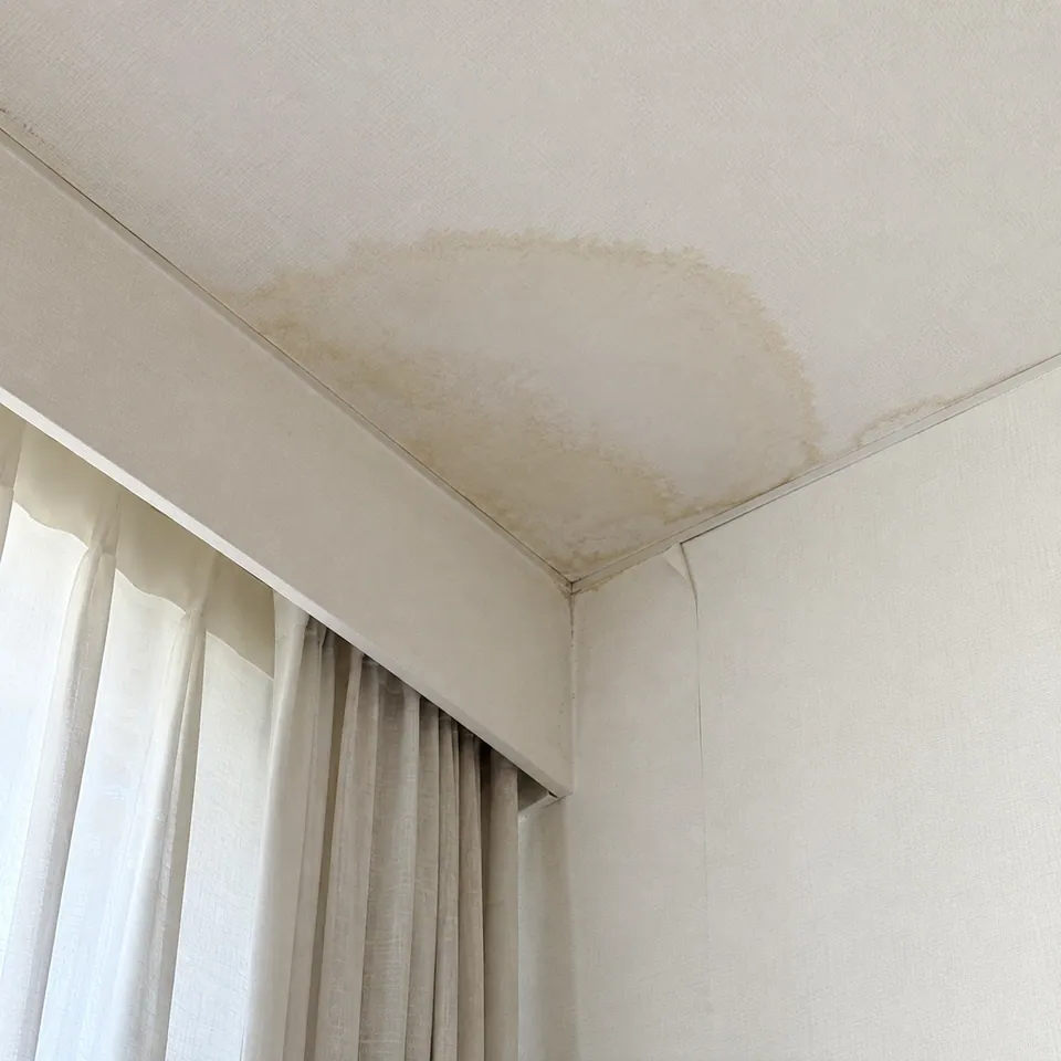 거실 천장 모서리 흰 벽지에 누렇게 번진 물 얼룩 (예시 사진)